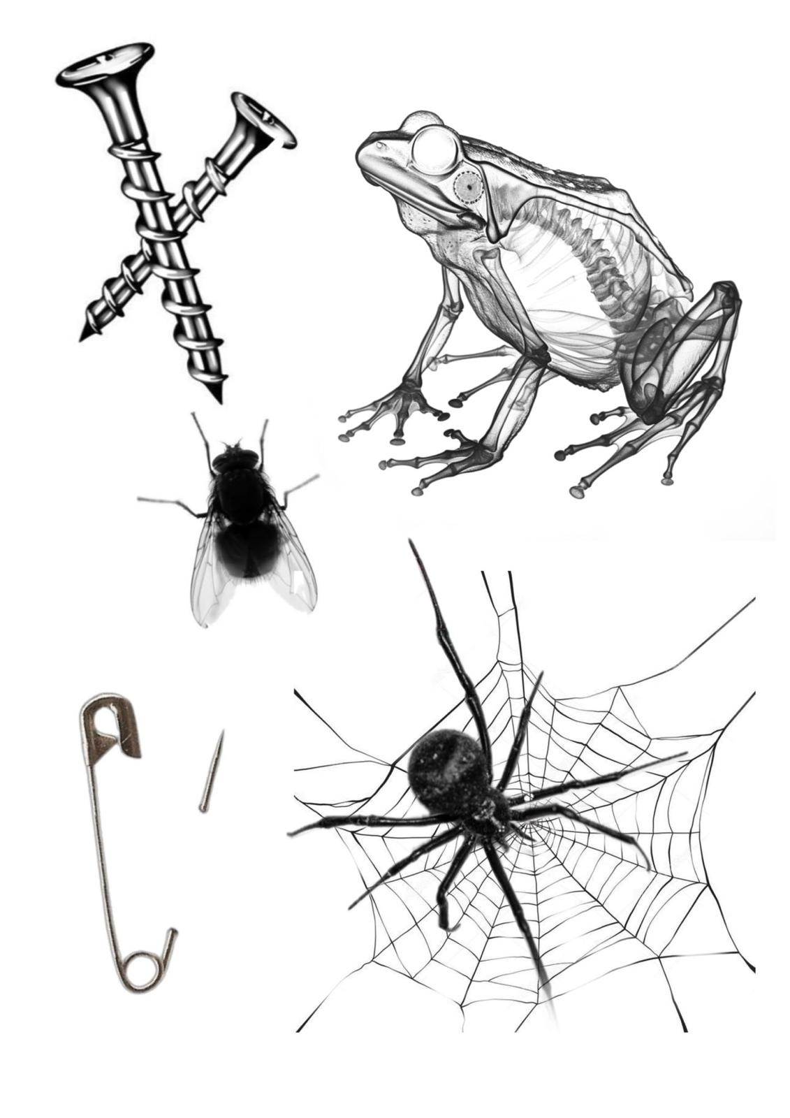 halloween (cada projeto preço variável)